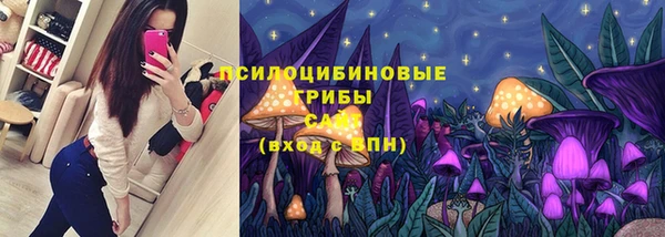 бошки Алексеевка