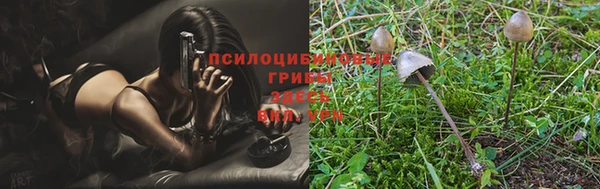 дурь Алзамай